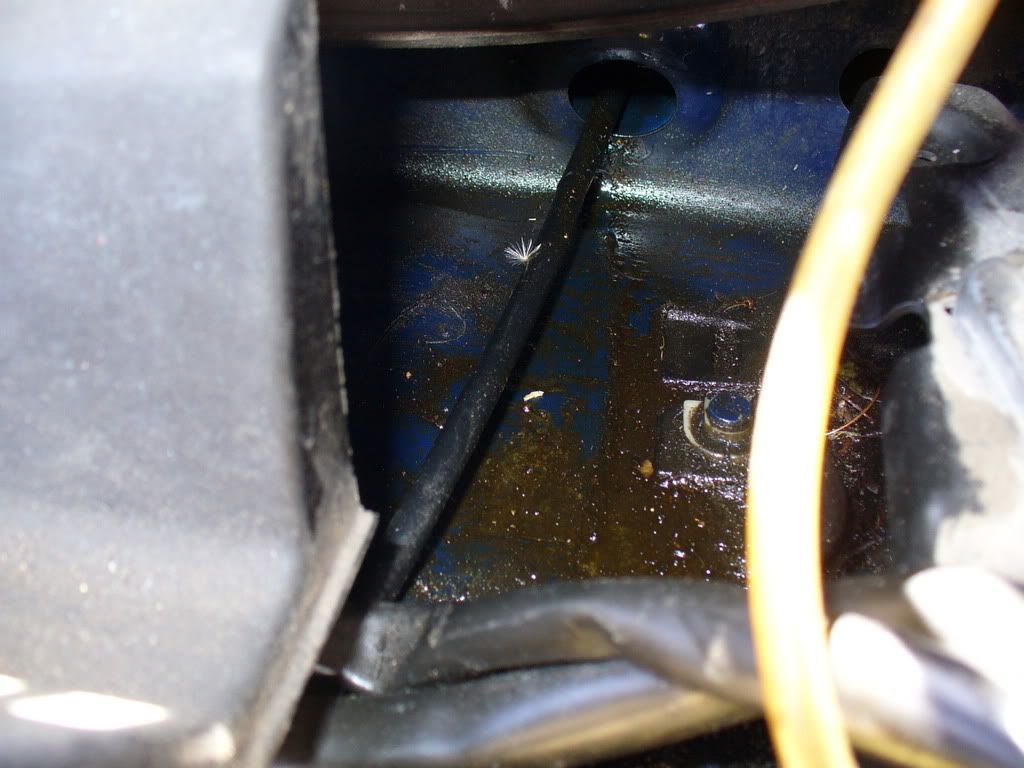 Speedometer cable leaking oil?? WTF VW Vortex Volkswagen Forum